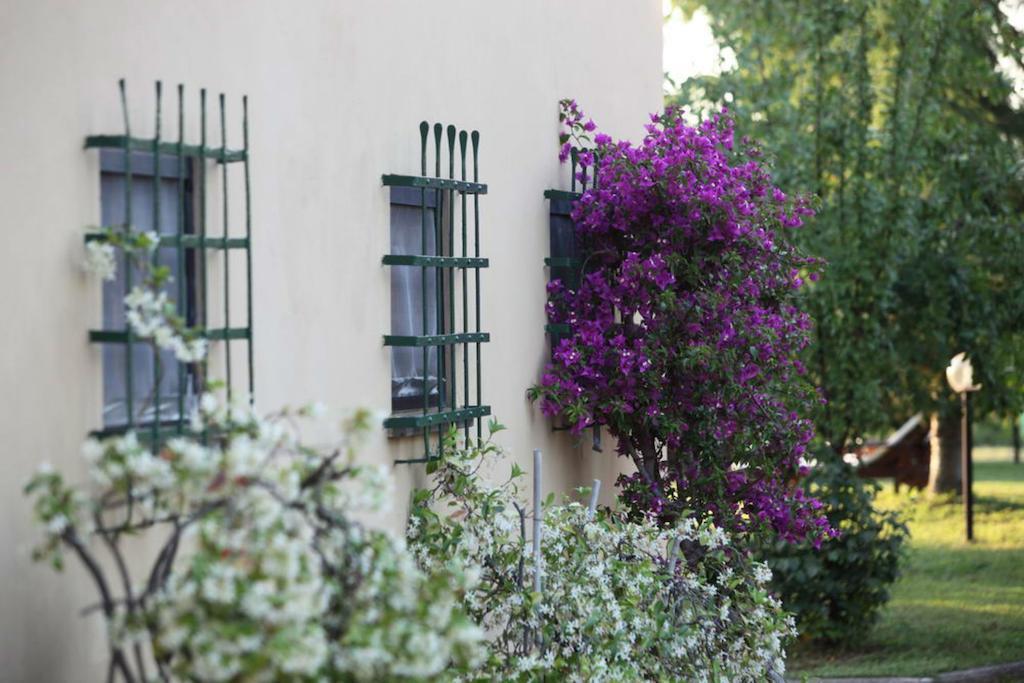 Agriturismo Le Pianore モンテスペルトリ エクステリア 写真